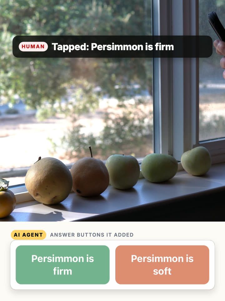 Two buttons on the worker’s screen, Persimmon is firm and Persimmon is soft, with the tap recorded as Persimmon is firm.