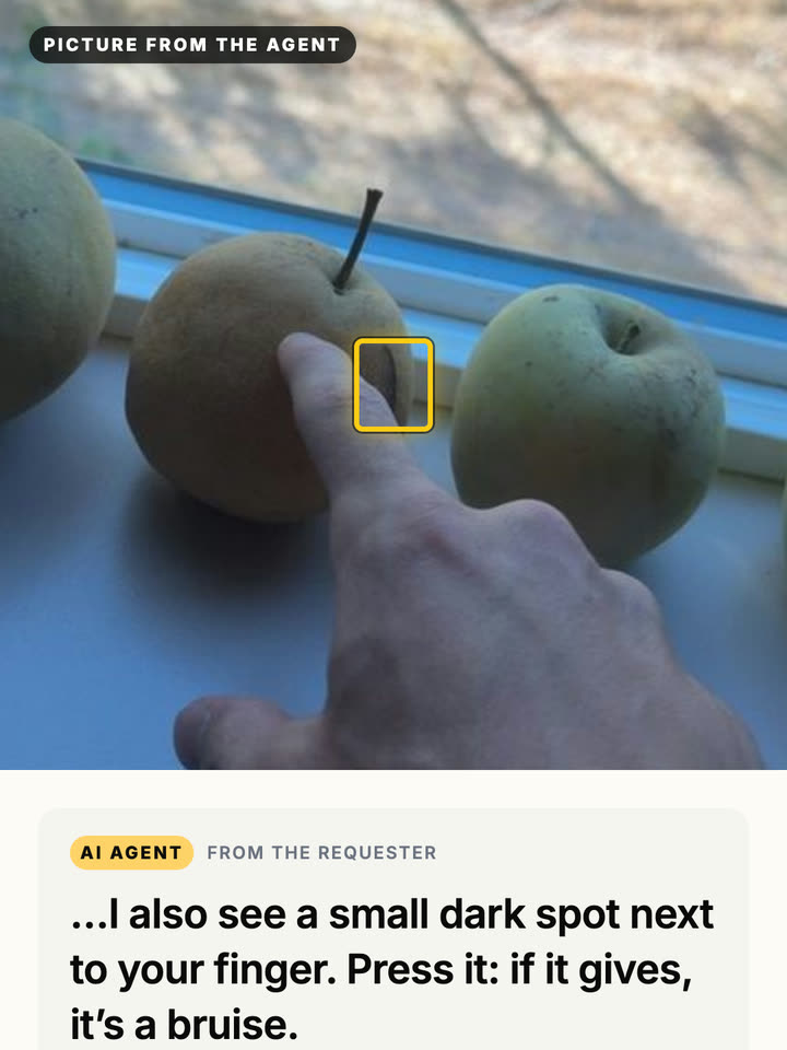 The agent’s picture of the brown pear with a yellow box around a small dark spot next to the worker’s finger, and its message asking to press the spot.