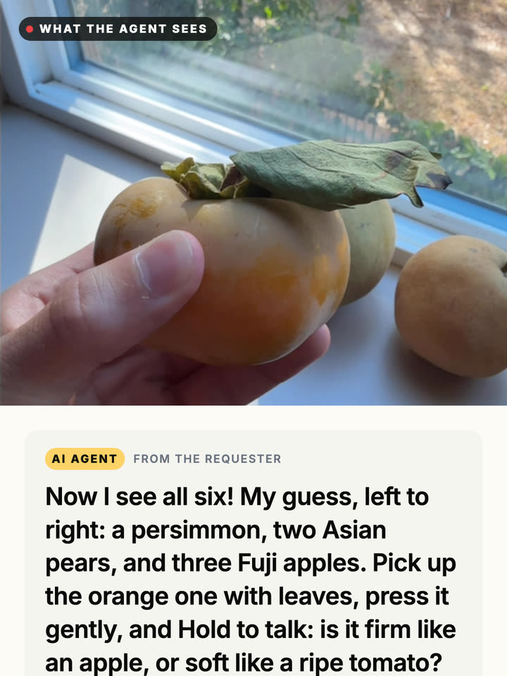 The worker’s phone camera view: a hand holding an orange persimmon, with the agent’s message below naming all six fruits.