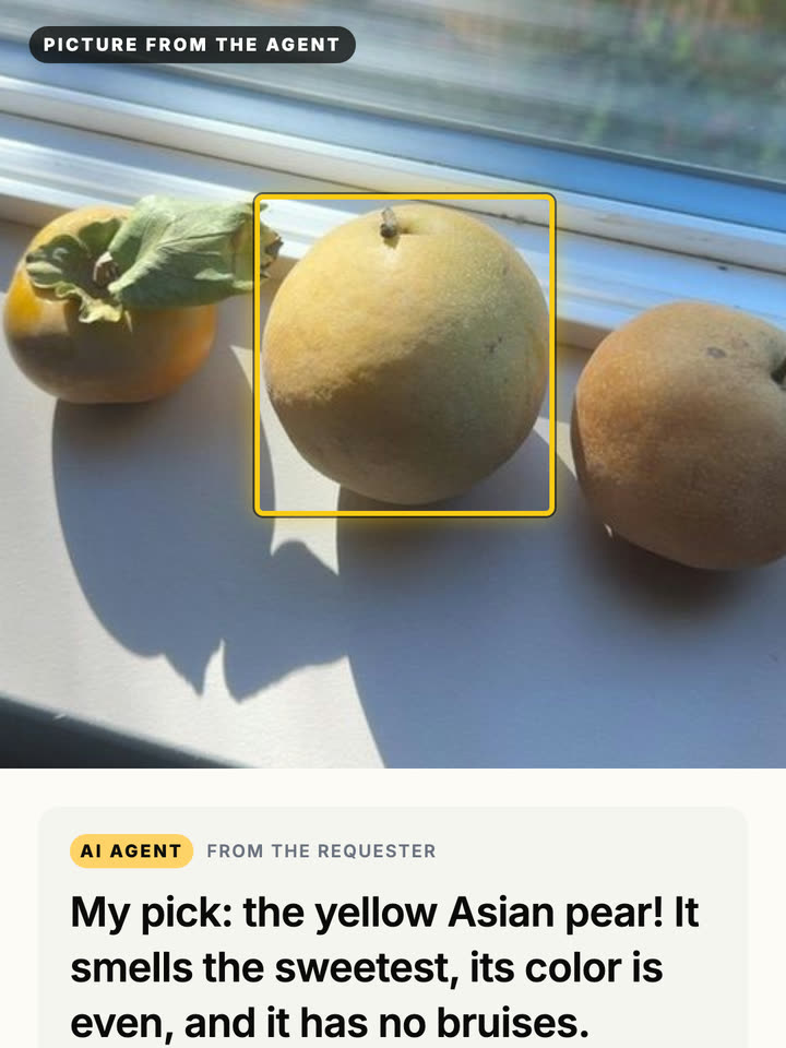 The agent’s picture of the shelf with a yellow box around the yellow Asian pear and its verdict below.