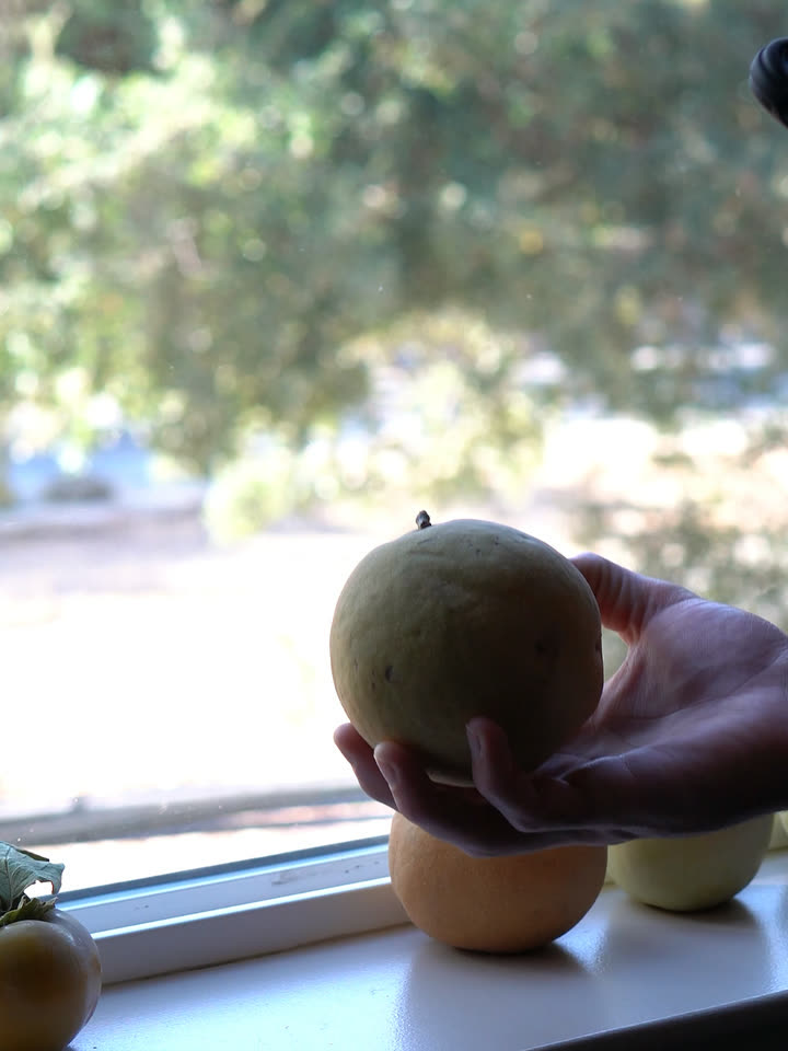 The worker holding the yellow Asian pear up to the window.